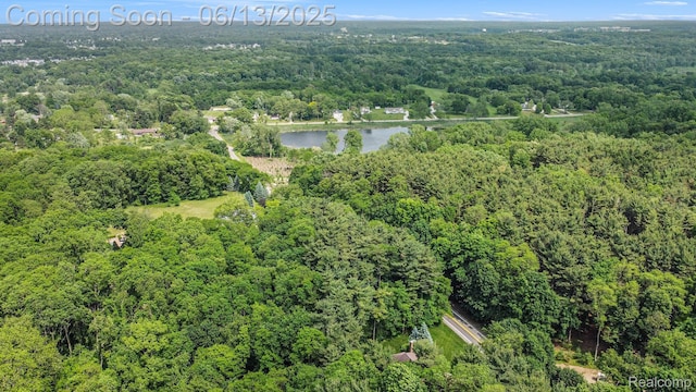 3050 High Hillcrest Dr, Howell, MI 48843 - view of property location with a heavily wooded area and a nearby body of water