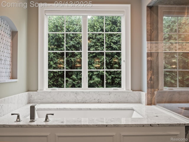 2750 Turtle Bluff Dr, Bloomfield Hills, MI 48302 - bathroom featuring plenty of natural light and a bath