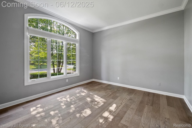 44251 Deep Hollow Cir, Northville, MI 48168 - spare room featuring crown molding, baseboards, and dark wood-style floors