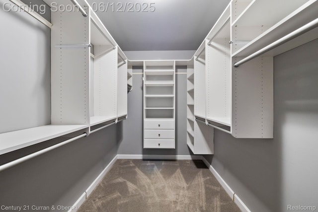 44251 Deep Hollow Cir, Northville, MI 48168 - spacious closet featuring dark colored carpet