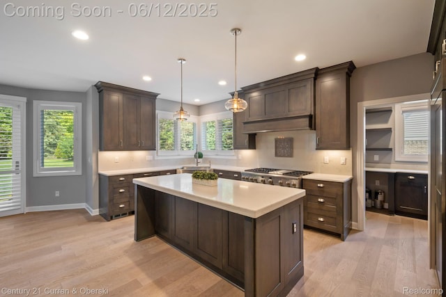 44251 Deep Hollow Cir, Northville, MI 48168 - kitchen featuring a sink, light countertops, dark brown cabinets, light wood-type flooring, and decorative backsplash