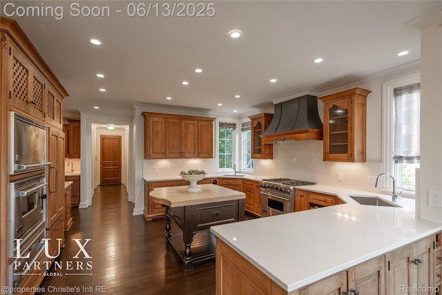 2937 Turtle Pond Ct, Bloomfield Hills, MI 48302 - kitchen featuring custom exhaust hood, stainless steel appliances, recessed lighting, dark wood finished floors, and light countertops