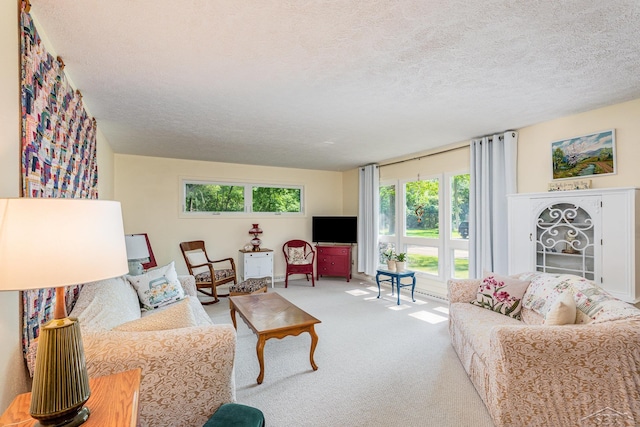 3077 Edson St, Coleman, MI 48618 - living room featuring a textured ceiling, carpet flooring, and healthy amount of natural light