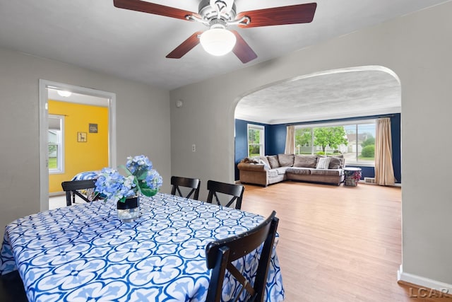 1104 Sunset Dr, Tecumseh, MI 49286 - dining space featuring arched walkways, wood finished floors, a ceiling fan, and baseboards