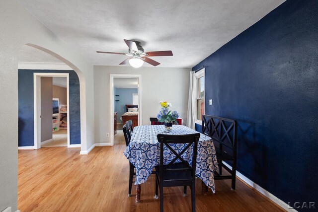 1104 Sunset Dr, Tecumseh, MI 49286 - dining space with arched walkways, ceiling fan, wood finished floors, and baseboards