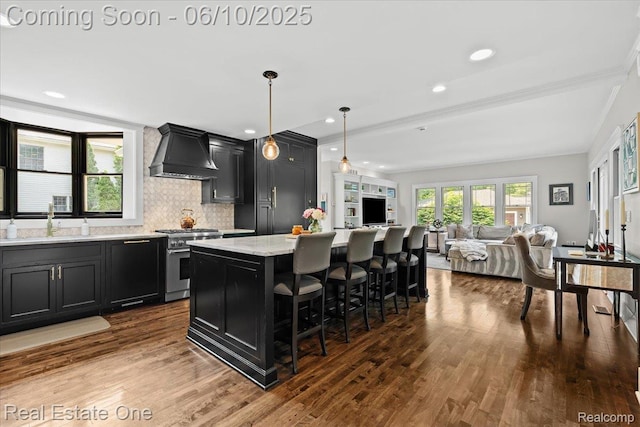 22 Elm Park Blvd, Pleasant Ridge, MI 48069 - kitchen featuring custom exhaust hood, high end stainless steel range oven, dark cabinetry, dark wood-type flooring, and a center island