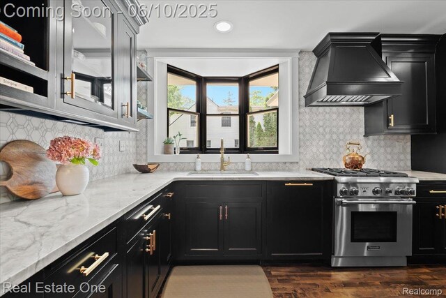 22 Elm Park Blvd, Pleasant Ridge, MI 48069 - kitchen featuring high end stainless steel range, premium range hood, dark cabinetry, a sink, and light stone counters