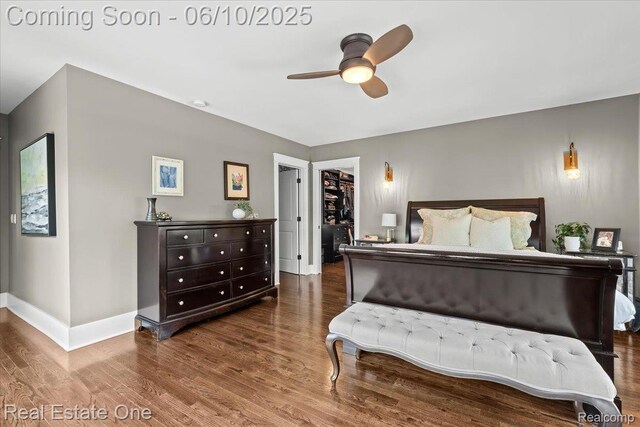 22 Elm Park Blvd, Pleasant Ridge, MI 48069 - bedroom featuring wood finished floors, baseboards, a ceiling fan, and a walk in closet