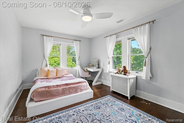 22 Elm Park Blvd, Pleasant Ridge, MI 48069 - bedroom featuring radiator, baseboards, wood finished floors, and a ceiling fan