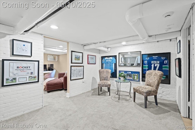 22 Elm Park Blvd, Pleasant Ridge, MI 48069 - sitting room with carpet and brick wall