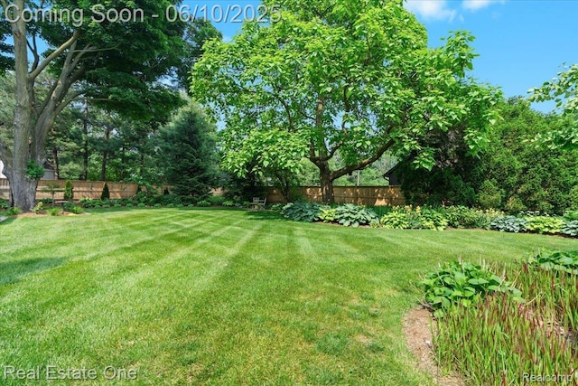 22 Elm Park Blvd, Pleasant Ridge, MI 48069 - view of yard