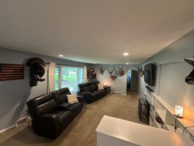 55441 Buckhorn Rd, Three Rivers, MI 49093 - living area featuring carpet flooring and recessed lighting
