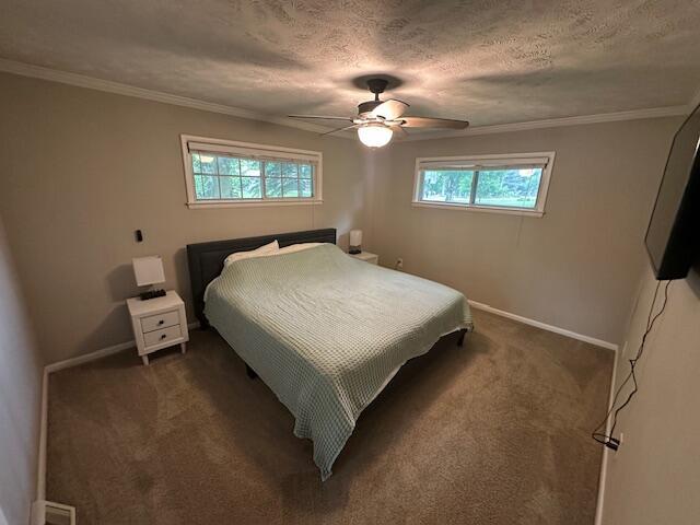 55441 Buckhorn Rd, Three Rivers, MI 49093 - carpeted bedroom with multiple windows, baseboards, ceiling fan, crown molding, and a textured ceiling