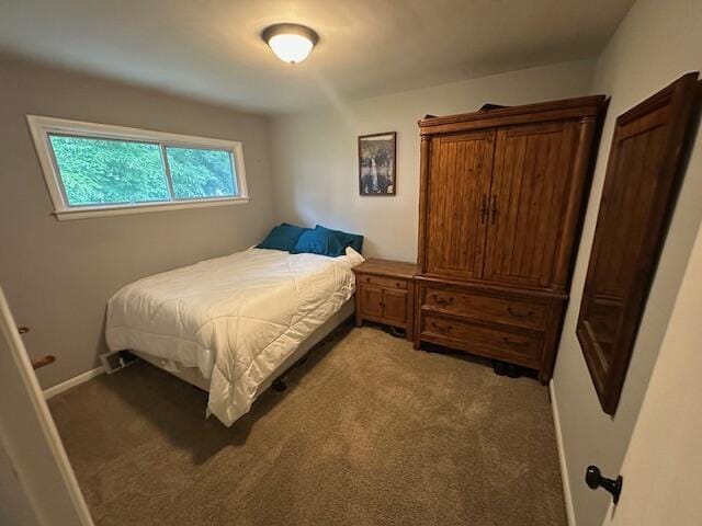 55441 Buckhorn Rd, Three Rivers, MI 49093 - bedroom featuring light carpet