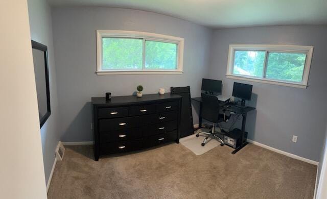 55441 Buckhorn Rd, Three Rivers, MI 49093 - home office featuring plenty of natural light, light colored carpet, and baseboards
