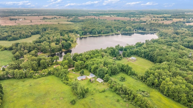 3093 104th Ave, Allegan, MI 49010 - photo 22