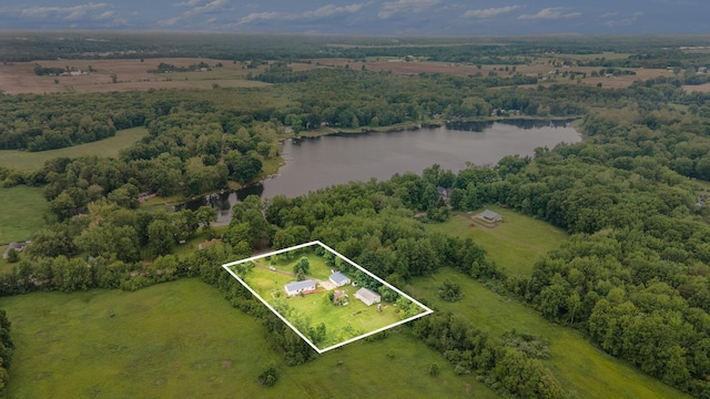 3093 104th Ave, Allegan, MI 49010 - photo 21