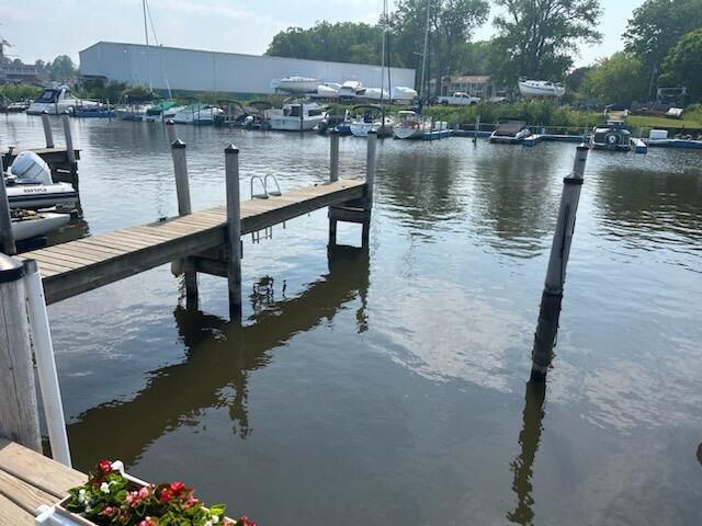 144 Dunkley Ave Unit 4, South Haven, MI 49090 - dock area with a water view