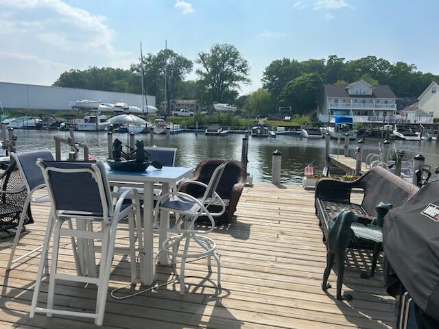144 Dunkley Ave Unit 4, South Haven, MI 49090 - dock area with a water view