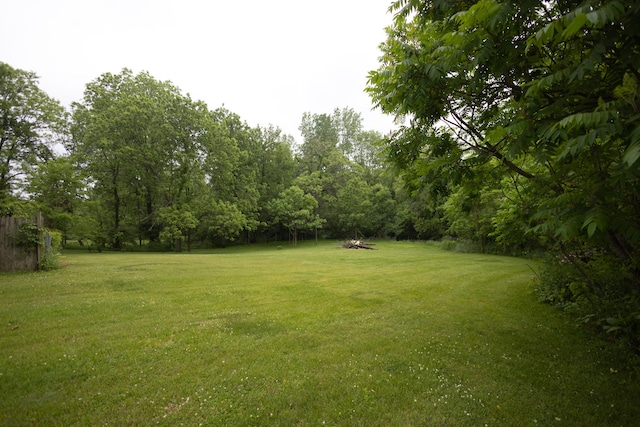 425 Clinton St, Mendon, MI 49072 - view of grassy yard