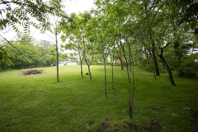 425 Clinton St, Mendon, MI 49072 - view of grassy yard