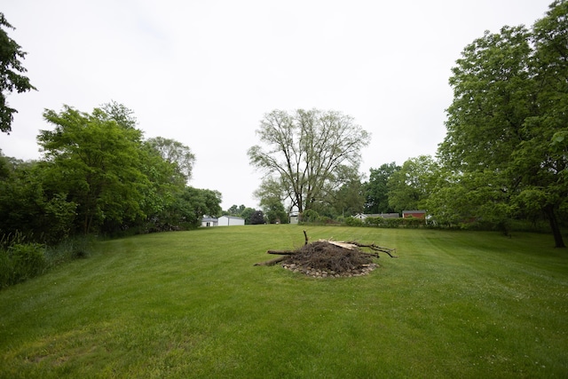 425 Clinton St, Mendon, MI 49072 - view of green lawn featuring view of wooded area