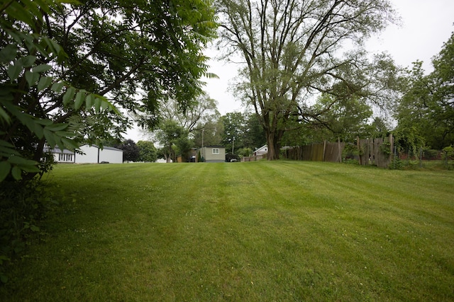 425 Clinton St, Mendon, MI 49072 - view of yard