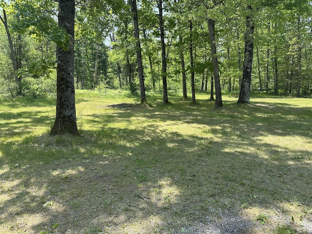 5649 W 76th St, Baldwin, MI 49304 - view of green lawn with a wooded view