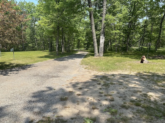 5649 W 76th St, Baldwin, MI 49304 - view of road featuring a wooded view