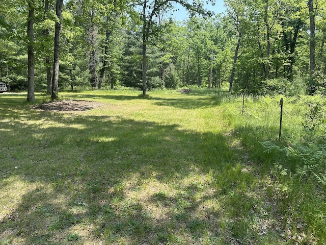 5649 W 76th St, Baldwin, MI 49304 - view of grassy yard