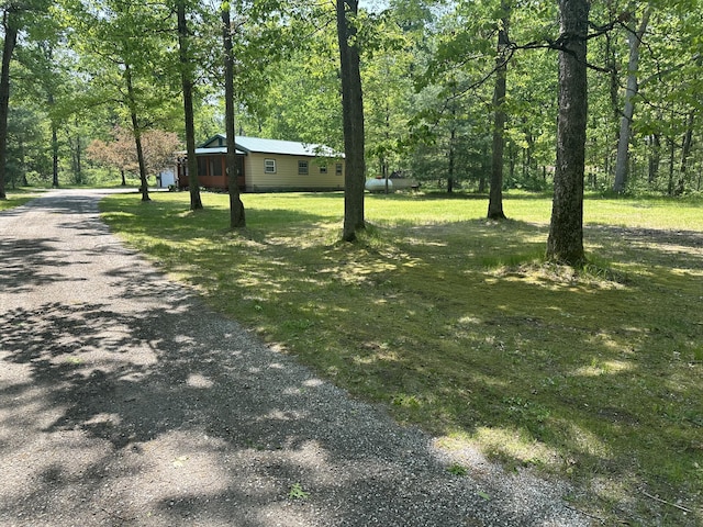 5649 W 76th St, Baldwin, MI 49304 - view of grassy yard with driveway and a view of trees