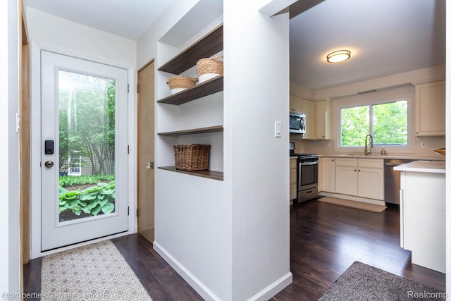 1700 Hamilton Dr, Bloomfield Hills, MI 48302 - doorway to outside featuring a sink and dark wood-style flooring