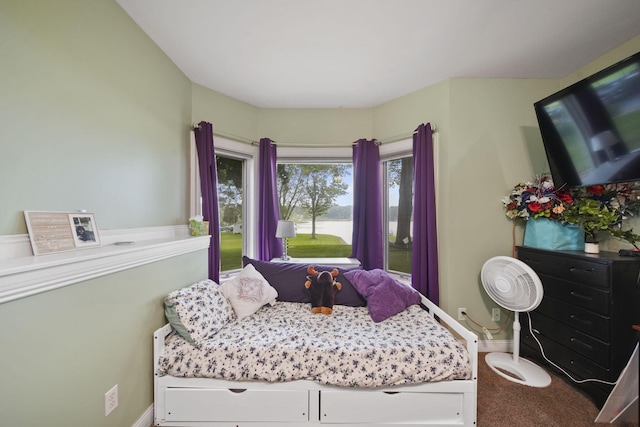 62 W Olcott Lake Dr, Jackson, MI 49201 - photo 52