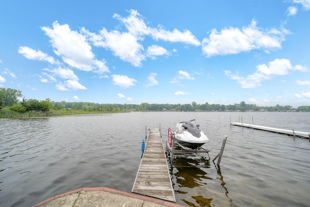 62 W Olcott Lake Dr, Jackson, MI 49201 - photo 58