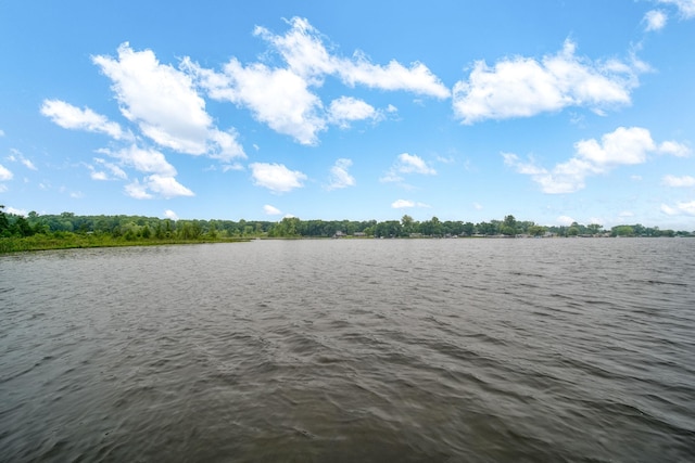 62 W Olcott Lake Dr, Jackson, MI 49201 - photo 60