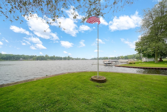 62 W Olcott Lake Dr, Jackson, MI 49201 - photo 62