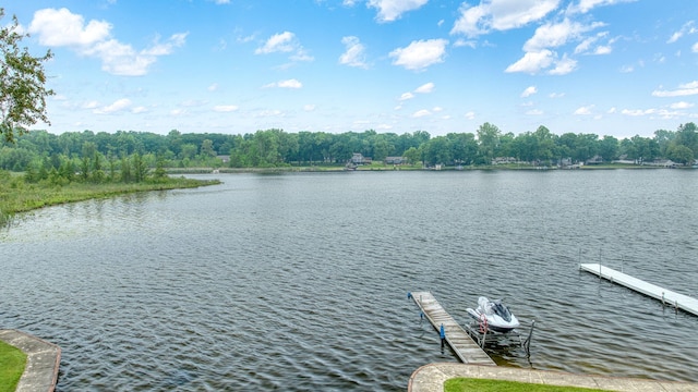 62 W Olcott Lake Dr, Jackson, MI 49201 - photo 90