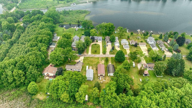 62 W Olcott Lake Dr, Jackson, MI 49201 - photo 92
