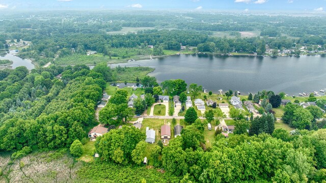 62 W Olcott Lake Dr, Jackson, MI 49201 - photo 93