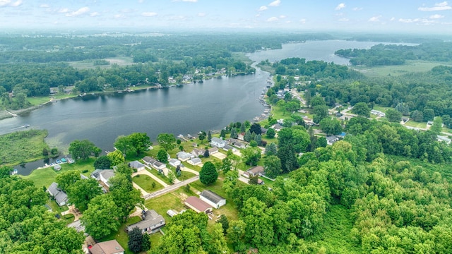 62 W Olcott Lake Dr, Jackson, MI 49201 - photo 94