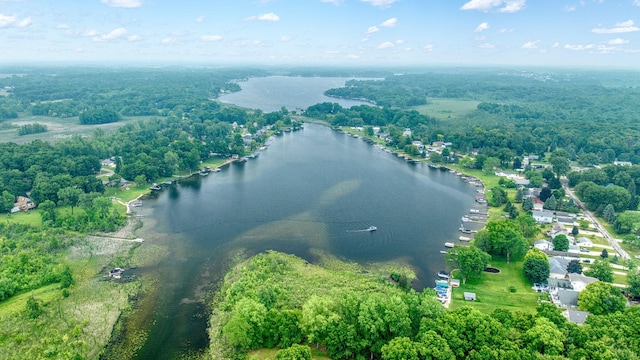 62 W Olcott Lake Dr, Jackson, MI 49201 - photo 96