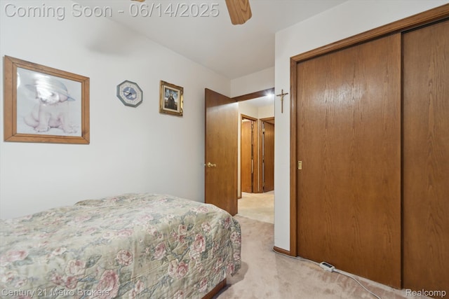 14210 W Burt Rd W, Chesaning, MI 48616 - bedroom with light colored carpet, a closet, and a ceiling fan