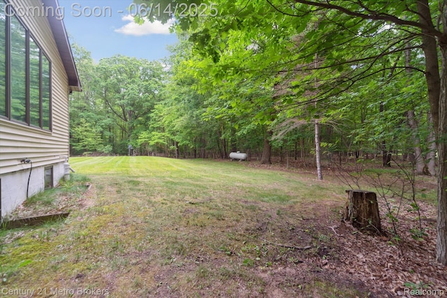 14210 W Burt Rd W, Chesaning, MI 48616 - view of green lawn with a view of trees