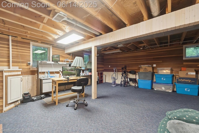14210 W Burt Rd W, Chesaning, MI 48616 - below grade area with wood walls, carpet floors, and a desk