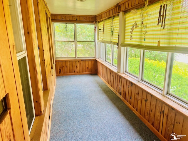 3421 3rd St, Trenton, MI 48183 - unfurnished sunroom featuring carpet and wooden walls
