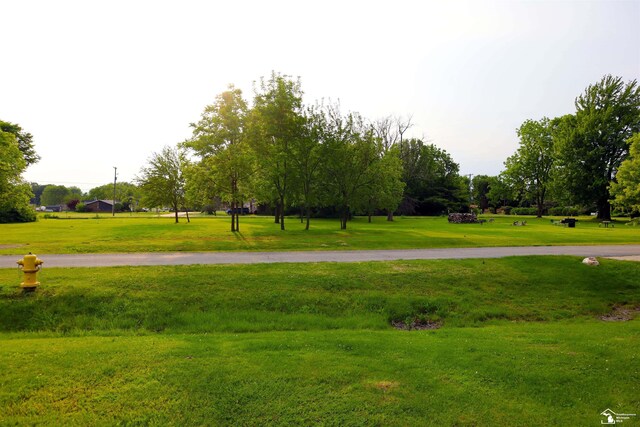 6336 Moreland Dr, Erie, MI 48133 - view of property's community featuring a lawn