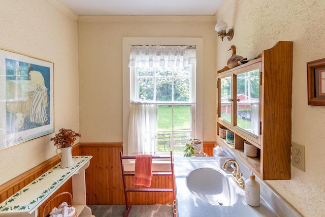 8425 Parshallville Rd, Fenton, MI 48430 - bathroom featuring plenty of natural light, ornamental molding, a wainscoted wall, vanity, and wooden walls