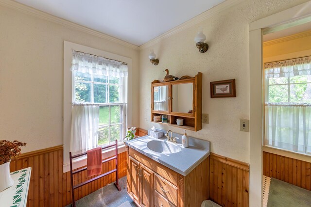 8425 Parshallville Rd, Fenton, MI 48430 - bathroom with vanity, wooden walls, wainscoting, and crown molding