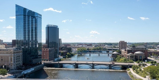 335 Bridge St NW Unit 500, Grand Rapids, MI 49504 - city view featuring a notable bridge and a large body of water