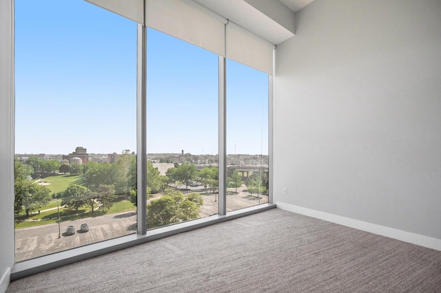 335 Bridge St NW Unit 500, Grand Rapids, MI 49504 - spare room with carpet floors and baseboards